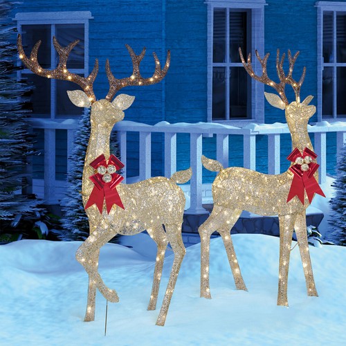 Christmas reindeer family - reindeer, set