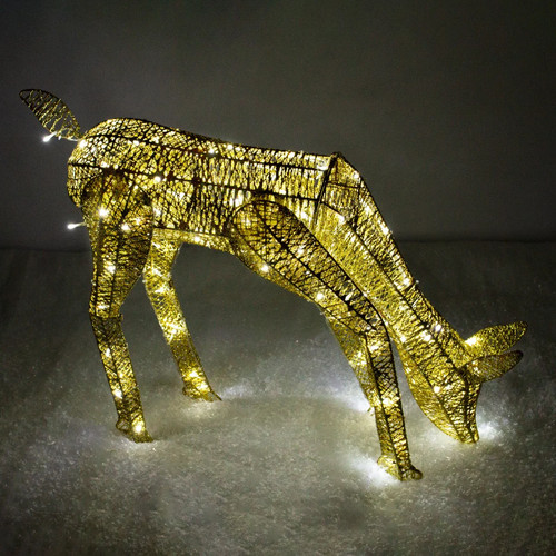 Light grazing doe - grazing,