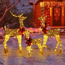 3-Pc Lighted Christmas