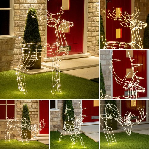 Christmas reindeer outdoor - reindeer,