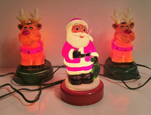 Santa and reindeer outdoor - santa,